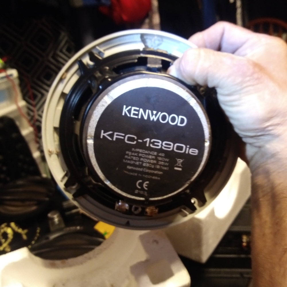 Speaker's and amplifier